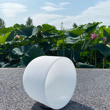 Carregar imagem no visualizador da galeria, Taça de Cristal Quartzo Fosco Chakra 8 polegadas CDEFGAB