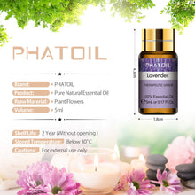 Carregar imagem no visualizador da galeria, Óleos Essenciais Puros 15 pcs Conjunto Presente Natural Planta Aroma Óleo Essencial Difusor Eucalipto Baunilha Hortelã Lavanda Rosa Tea Tree Oil