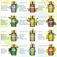 Carregar imagem no visualizador da galeria, Óleos Essenciais Puros 15 pcs Conjunto Presente Natural Planta Aroma Óleo Essencial Difusor Eucalipto Baunilha Hortelã Lavanda Rosa Tea Tree Oil