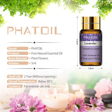 Carregar imagem no visualizador da galeria, Óleos Essenciais Puros 15 pcs Conjunto Presente Natural Planta Aroma Óleo Essencial Difusor Eucalipto Baunilha Hortelã Lavanda Rosa Tea Tree Oil
